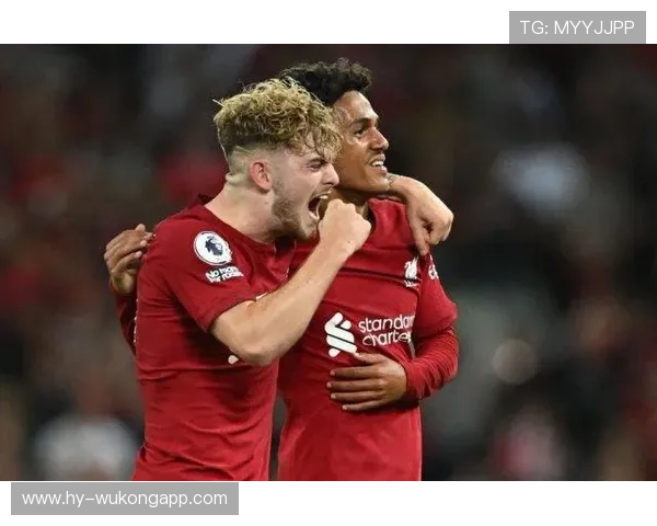 伊萨克 vs 伊布拉希莫维奇：终结方式与战术角色差异