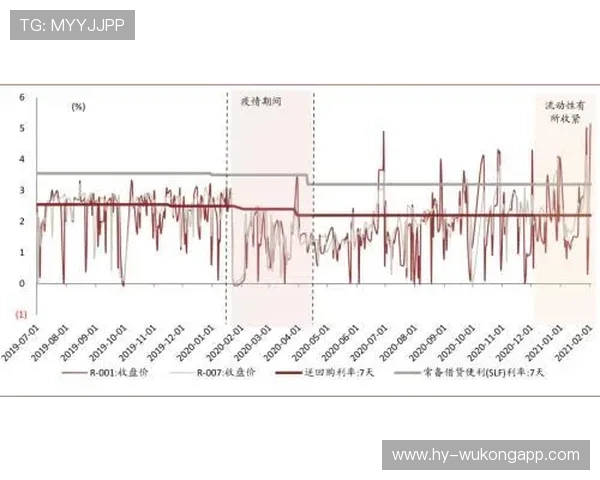 琼阿梅尼表现波动的结构性原因分析