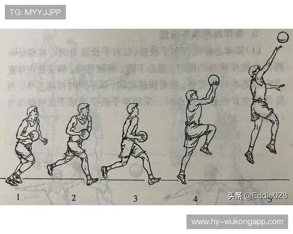 全面解读篮球规则中的连续动作判定机制