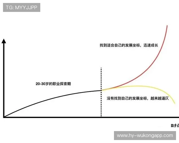 达姆斯高职业轨迹：从北西兰到布伦特福德的稳步成长解析